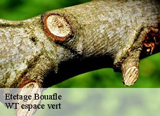 Etetage bouafle-78410 WT espace vert