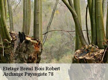 Etetage  breuil-bois-robert-78930 Archange Paysagiste 78