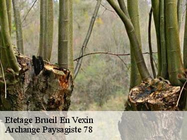 Etetage  brueil-en-vexin-78440 Archange Paysagiste 78