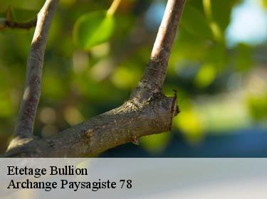Etetage  bullion-78830 Archange Paysagiste 78