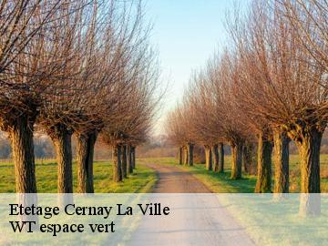 Etetage cernay-la-ville-78720 WT espace vert