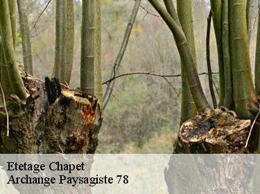 Etetage  chapet-78130 Archange Paysagiste 78