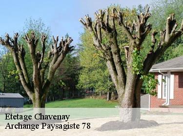 Etetage  chavenay-78450 Archange Paysagiste 78