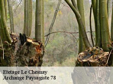Etetage  le-chesnay-78150 Archange Paysagiste 78