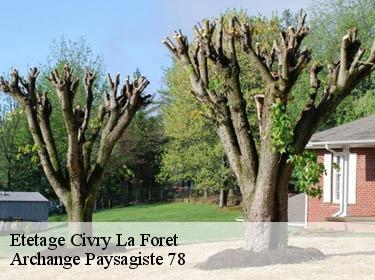 Etetage  civry-la-foret-78910 Archange Paysagiste 78