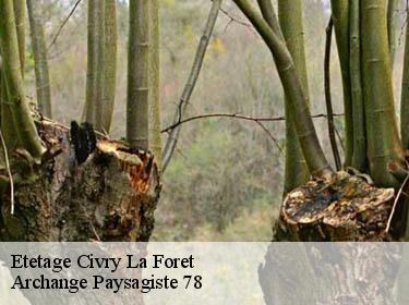 Etetage  civry-la-foret-78910 Archange Paysagiste 78
