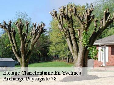 Etetage  clairefontaine-en-yvelines-78120 Archange Paysagiste 78