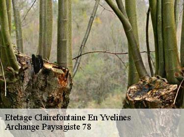 Etetage  clairefontaine-en-yvelines-78120 Archange Paysagiste 78