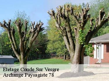 Etetage  conde-sur-vesgre-78113 Archange Paysagiste 78