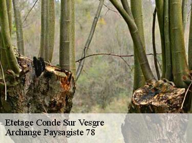 Etetage  conde-sur-vesgre-78113 Archange Paysagiste 78