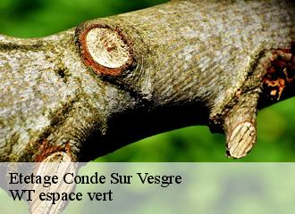 Etetage conde-sur-vesgre-78113 WT espace vert