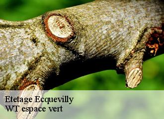 Etetage  ecquevilly-78920 Archange Paysagiste 78