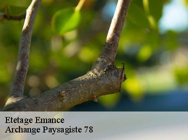 Etetage  emance-78125 Archange Paysagiste 78