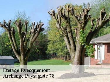 Etetage  evecquemont-78740 Archange Paysagiste 78
