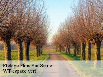 Etetage flins-sur-seine-78410 WT espace vert