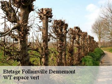 Etetage follainville-dennemont-78520 WT espace vert