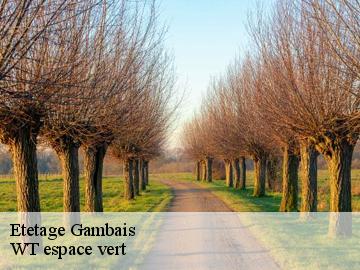 Etetage gambais-78950 WT espace vert