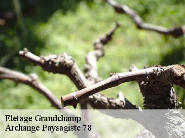 Etetage  grandchamp-78113 Archange Paysagiste 78