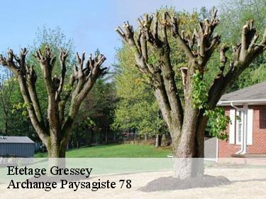 Etetage  gressey-78550 Archange Paysagiste 78