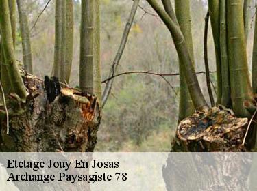 Etetage  jouy-en-josas-78350 Archange Paysagiste 78