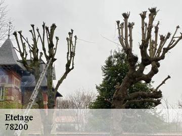 Etetage 78200