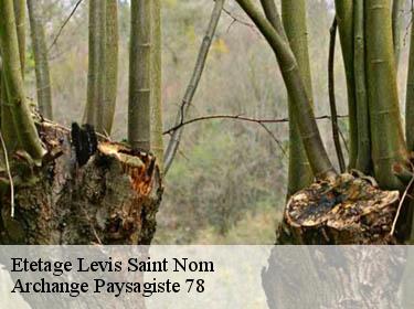 Etetage  levis-saint-nom-78320 Archange Paysagiste 78