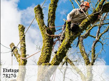 Etetage  limetz-villez-78270 WT espace vert 