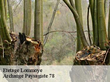 Etetage  lommoye-78270 Archange Paysagiste 78