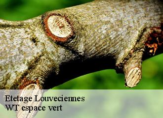 Etetage  louveciennes-78430 WT espace vert 