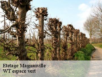 Etetage magnanville-78200 WT espace vert
