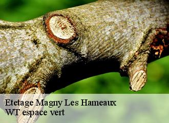 Etetage  magny-les-hameaux-78114 WT espace vert 