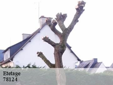 Etetage mareil-sur-mauldre-78124 WT espace vert