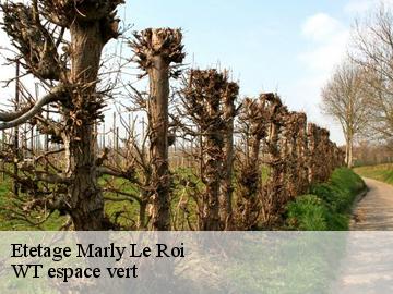 Etetage marly-le-roi-78160 WT espace vert