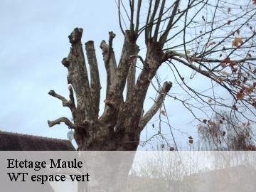 Etetage maule-78580 WT espace vert