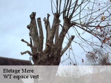 Etetage mere-78490 WT espace vert