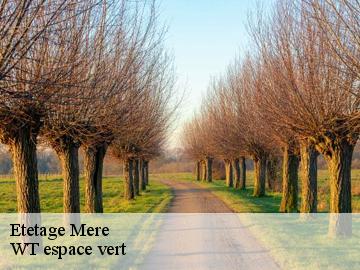 Etetage mere-78490 WT espace vert