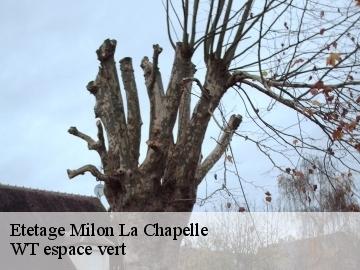 Etetage milon-la-chapelle-78470 WT espace vert