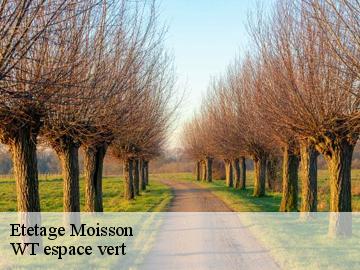 Etetage moisson-78840 WT espace vert