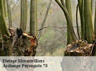 Etetage  morainvilliers-78630 Archange Paysagiste 78