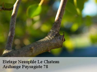 Etetage  neauphle-le-chateau-78640 Archange Paysagiste 78