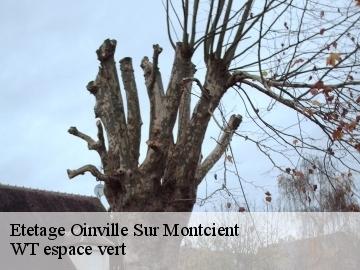 Etetage oinville-sur-montcient-78250 WT espace vert