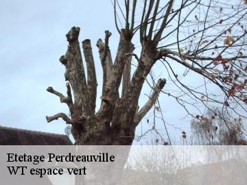 Etetage perdreauville-78200 WT espace vert