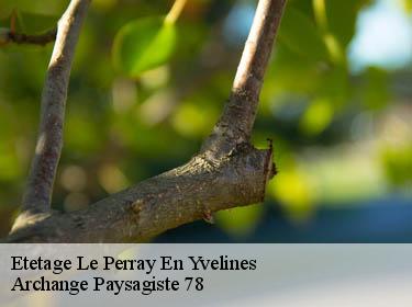 Etetage  le-perray-en-yvelines-78610 Archange Paysagiste 78