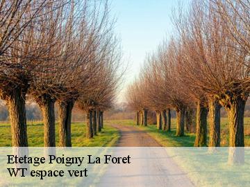 Etetage poigny-la-foret-78125 WT espace vert