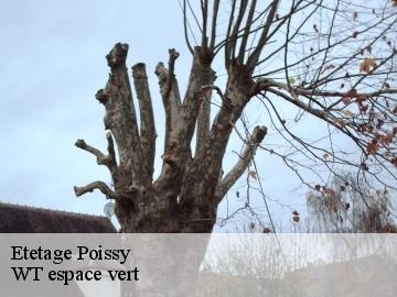 Etetage poissy-78300 WT espace vert