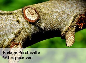 Etetage porcheville-78440 WT espace vert
