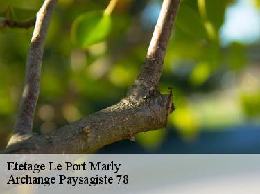 Etetage  le-port-marly-78560 Archange Paysagiste 78