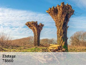 Etetage prunay-en-yvelines-78660 WT espace vert