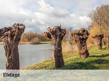 Etetage prunay-en-yvelines-78660 WT espace vert