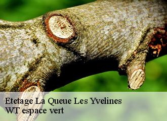 Etetage la-queue-les-yvelines-78940 WT espace vert